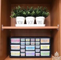 two potted plants sitting on top of a wooden shelf next to other pots with writing on them