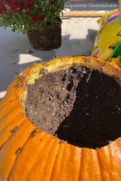 an orange pumpkin with soil in it sitting on the ground