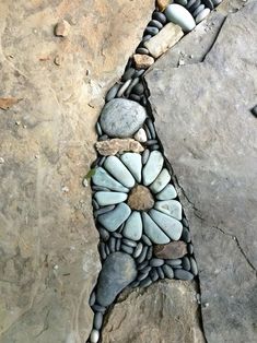 some rocks are arranged in the shape of a flower