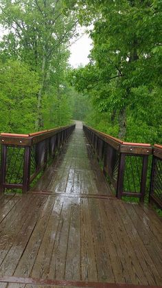 an empty wooden bridge in the middle of a forest