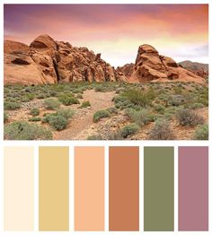 the desert is full of rocks and plants, with some colors in it to match