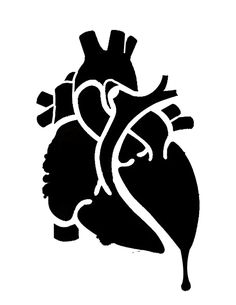 a black and white drawing of a human heart