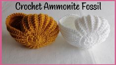 two crocheted bowls sitting next to each other on a table with the words crochet ammonite fossil