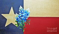 blue flowers are placed in front of the texas flag with a gold star on it