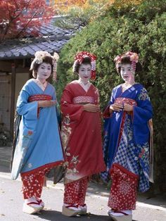 size: 24x18in Photographic Print: Apprentice Geisha (Maiko), Women Dressed in Traditional Costume, Kimono, Kyoto, Honshu, Japan : Travel White Yukata, Japan Geisha, Furisode Kimono, Geisha Kimono, Embroidery Kimono, Memoirs Of A Geisha, Dance Games, Traditional Kimono, Japanese Geisha