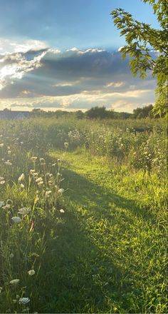 the sun shines brightly through the clouds over a grassy field with wildflowers