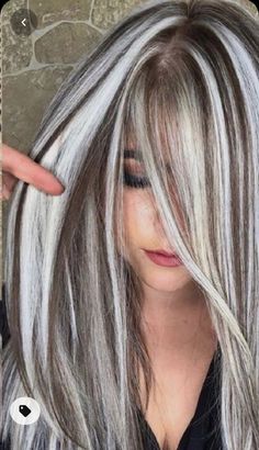 Silver With Brown Hair, Platinum With Highlights, I’ve Blonde Balayage, 2023 Over 50 Hair, Silver Hair With Brown Lowlights, Silver Hair Dark Lowlights, Two Tone Silver Hair, White Hair With Brown Highlights, Chunky Platinum Highlights On Dark Hair