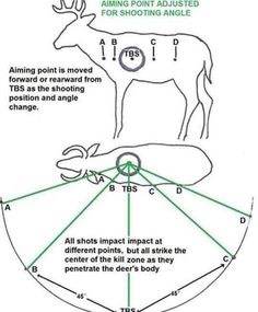 the diagram shows how to measure an animal's body