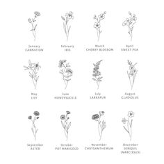 an image of flowers that are labeled in the language of each flower, and what they mean