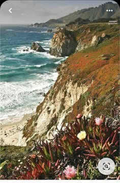 the coast is covered in green and red plants, along with cliffs on either side