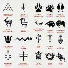 an image of some animals that are in the wild and have different symbols on them