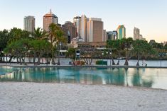 an empty swimming pool in the middle of a city with tall buildings and palm trees