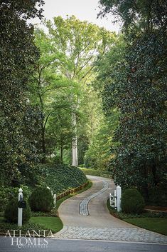 a winding road in the middle of a lush green park