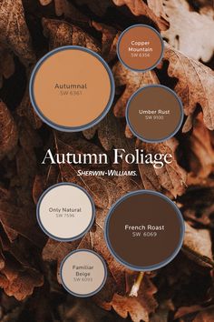 the autumn foliage color scheme is shown here