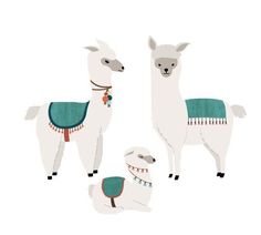 three llamas wearing sweaters and scarves