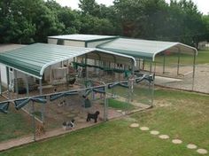 an outdoor play area with several dogs and cats in the fenced off area next to it