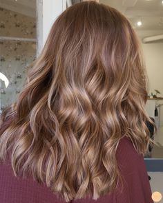 Champagne Hair, Light Brunette Hair, Bombshell Hair, Honey Brown Hair, Bronde Hair, Hair Toner