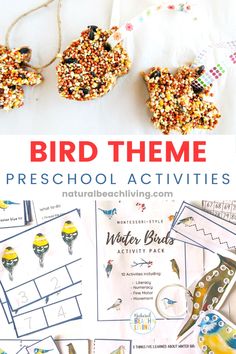 bird theme preschool activities and printables for kids to use with their own hands