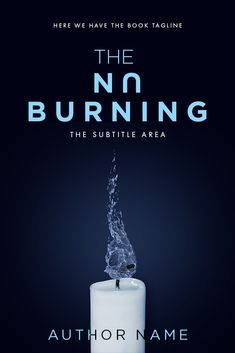 the book cover for the burning