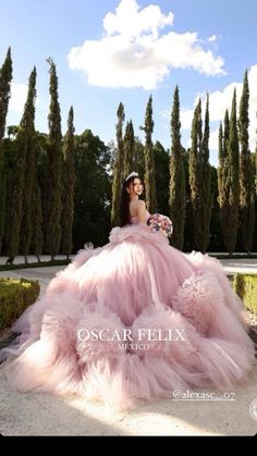 Filipino Debut, 15 Birthday Dresses, Quinceañera Photoshoot Ideas, Pre Debut Photoshoot, Sweet 15 Ideas, Fashion Valley, Sweet 16 Pictures, Quinceanera Pink