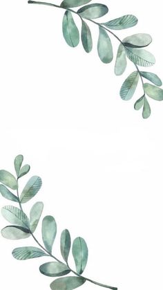 two watercolor paintings of leaves and branches