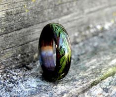 Summer pressed juniper is stacked in resin wooden ring with dark pine will be a good gift for nature and forest lovers. My terrarium jewelry inspired by the beauty of the forests around me. my house is in the forest. Every day I watch the beauty of the forest and I want to share it with you. for my rings I use a bent thin layer of bark or wood and forest grass and plants. all this I place in epoxy resin. you can offer a combination of wood and plants as you like. you can also choose the width of Wood Wedding Rings, Wedding Rings Women, Forest Ring, Nature Wedding Ring, Bark Ring, Bentwood Rings, Wood Wedding Ring, Terrarium Jewelry, Ring Storage