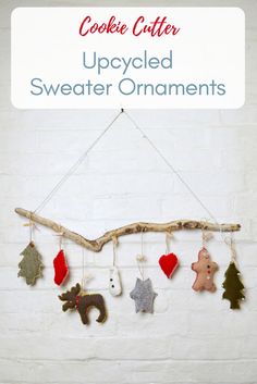 the diy christmas ornament is hanging from a branch with other ornaments on it