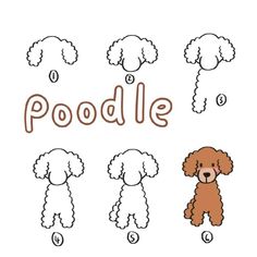 how to draw a poodle step by step for kids and beginners with easy instructions