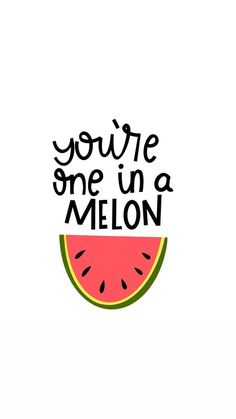 a piece of watermelon with the words you're one in a melon