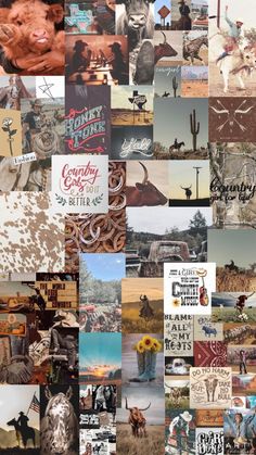 a collage of photos with different animals and words on the image, including cattle