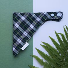 a green and white checkered tie sitting on top of a table next to a fern