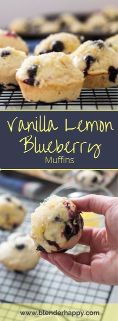 vanilla lemon blueberry muffins on a cooling rack with the title above it