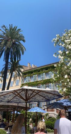 people are sitting under umbrellas in front of a building with palm trees and flowers