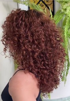 Semi Natural Hair Color, Dark Copper Hair Curly, Red Curly Highlights, Cowboy Copper Curly Hair, Ginger Brown Curly Hair, Cherry Brown Curly Hair, Dark Copper Hair With Highlights, Dark Copper Curly Hair, Copper Curly Hair