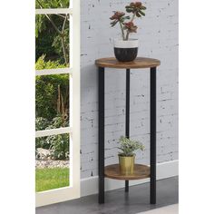 a potted plant sitting on top of a wooden shelf