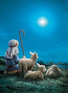 the shepherd is sitting with his lambs and watching the stars in the night sky