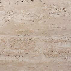 a bird sitting on top of a sandy beach