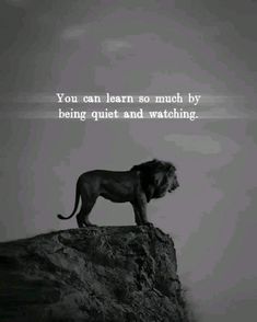 a lion standing on top of a rock with a quote above it that reads, you can learn so much by being quiet and watching