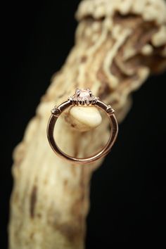 an engagement ring is sitting on top of a piece of driftwood