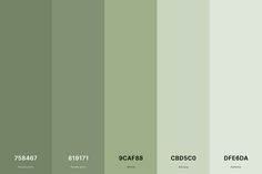 the color scheme is green and gray