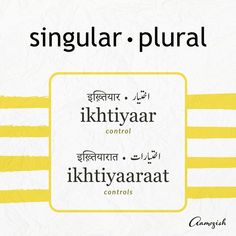 the cover of singular - plural in two languages