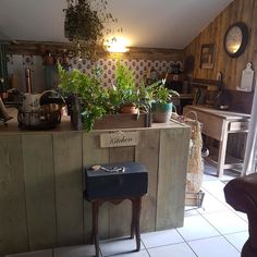 an old fashioned kitchen with potted plants on the counter