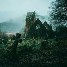 an old church sits in the middle of a foggy field with trees around it