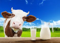 Organic Milk Packaging, Cows Milk Allergy, Milk Store, Rh Negative, The Milkman, Farm Fresh Milk, Milk Allergy