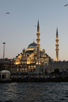 an image of a building that is lit up in the evening time with seagulls flying around