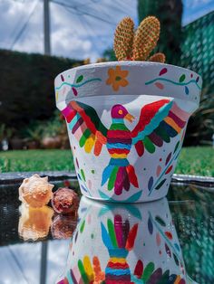 a potted plant sitting on top of a glass table next to a teddy bear