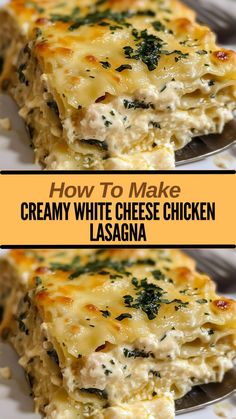 Ingredients: 9 lasagna noodles ½ cup butter 1 onion, chopped... White Cheese Lasagna, Stouffers Chicken Lasagna Recipe, Easy Dinner For Small Family, White Lazy Lasagna, Best Lasagna Recipe With Cottage Cheese, White Sauce Lasagna Recipe, White Chicken Lasagna Recipe, Cheesy Chicken Lasagna, Christmas Chicken Recipes