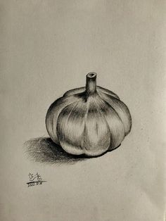 a pencil drawing of an onion on a piece of paper with a black ink pen