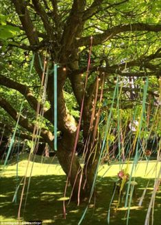 a tree with streamers hanging from it's branches