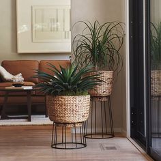 two plants are sitting in baskets on the floor